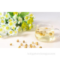 /msite/products/detail/productid/56948771/id/645581.html